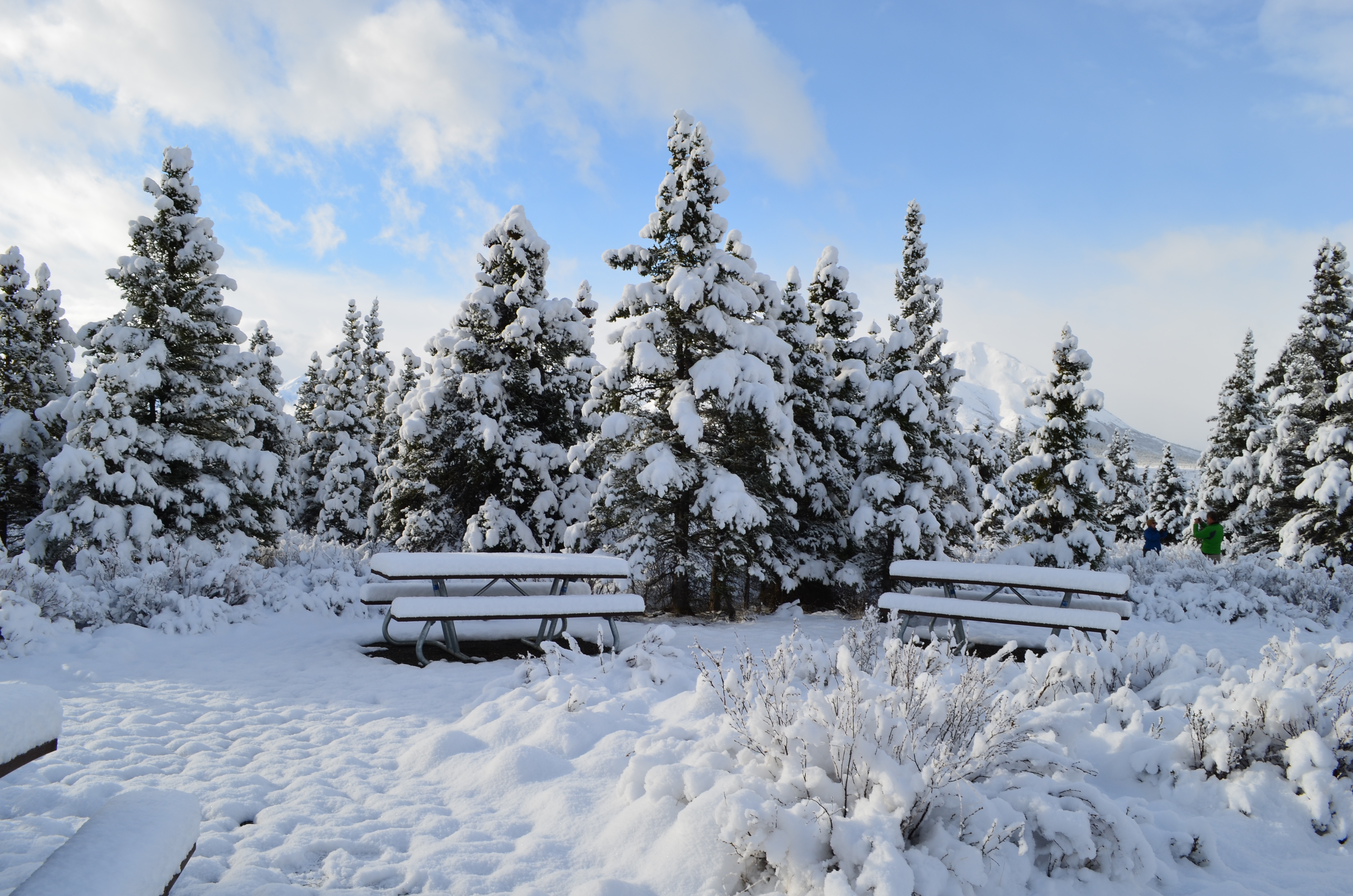 ./2017/08 - Alaska Cruise/03 - Denali/DSC_0230.JPG
